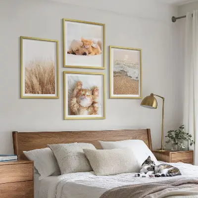 Tavelvägg ovanför soffa med motiv av söta hundar och katter på stranden