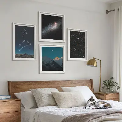 Lejongalaxen och rymden tavelvägg med 4 tavlor