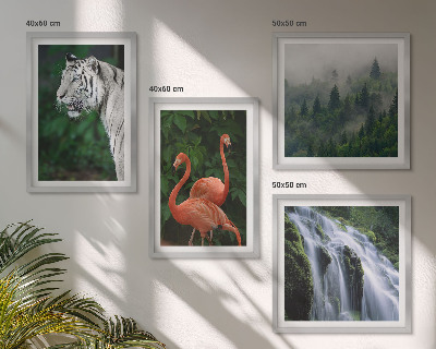 Set om 4 tavlor Tiger vattenfall flamingos natur