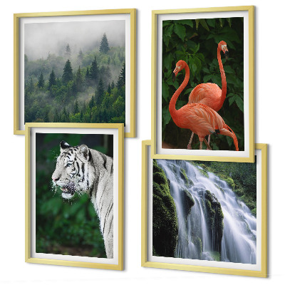 Set om 4 tavlor Tiger vattenfall flamingos natur
