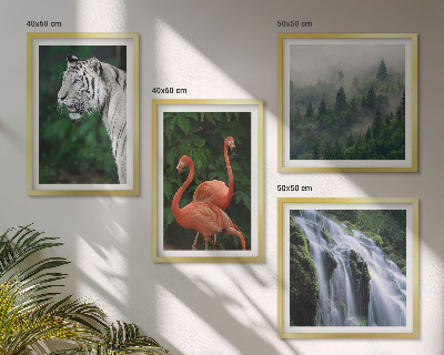 Set om 4 tavlor Tiger vattenfall flamingos natur