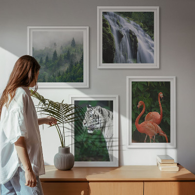 Set om 4 tavlor Tiger vattenfall flamingos natur