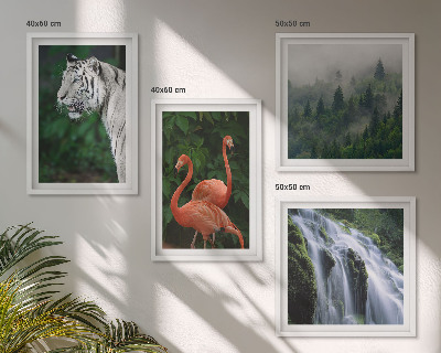 Set om 4 tavlor Tiger vattenfall flamingos natur