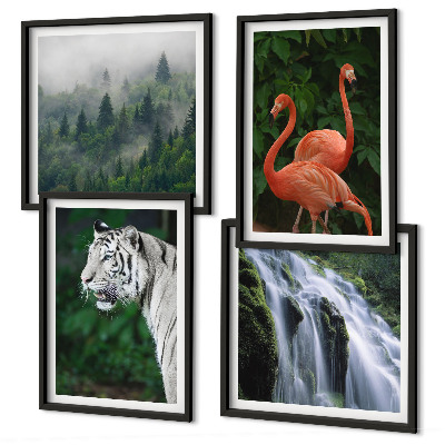 Set om 4 tavlor Tiger vattenfall flamingos natur