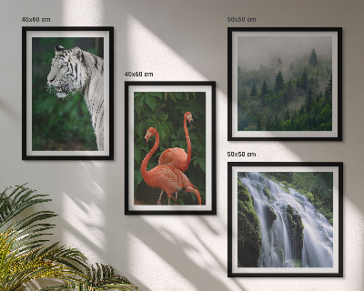 Set om 4 tavlor Tiger vattenfall flamingos natur