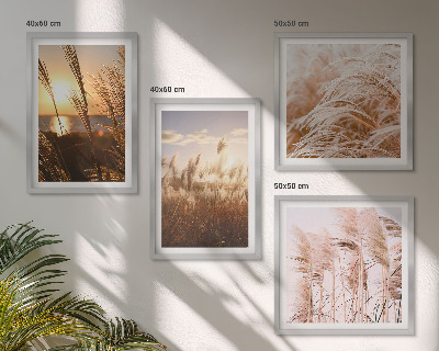 Set om 4 tavlor Boho gräsfält solnedgång