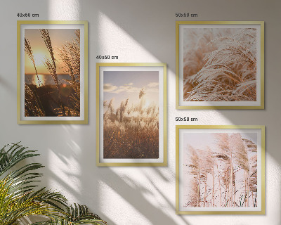 Set om 4 tavlor Boho gräsfält solnedgång