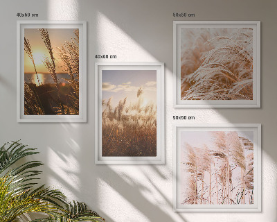 Set om 4 tavlor Boho gräsfält solnedgång