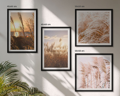 Set om 4 tavlor Boho gräsfält solnedgång