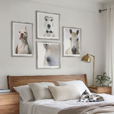 Tavelvägg med 4 tavlor Eleganta porträtt av hundar och hästar