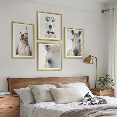 Tavelvägg med 4 tavlor Eleganta porträtt av hundar och hästar