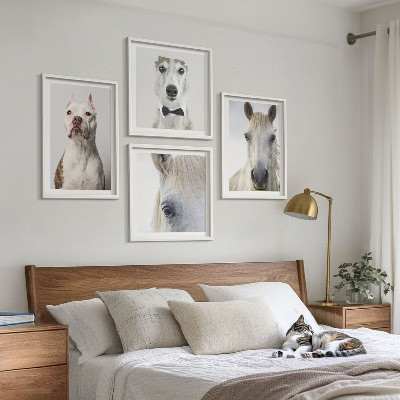 Tavelvägg med 4 tavlor Eleganta porträtt av hundar och hästar