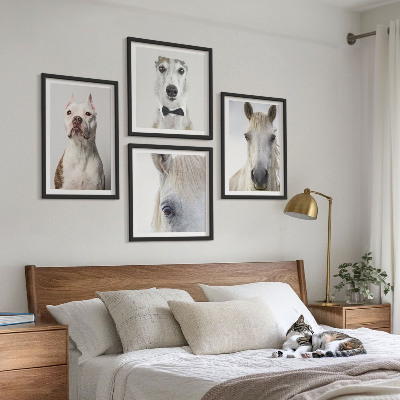 Tavelvägg med 4 tavlor Eleganta porträtt av hundar och hästar