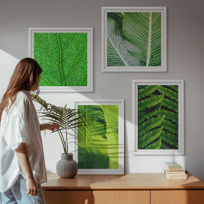 Tavelvägg ovanför soffa Närbild av tropiska löv