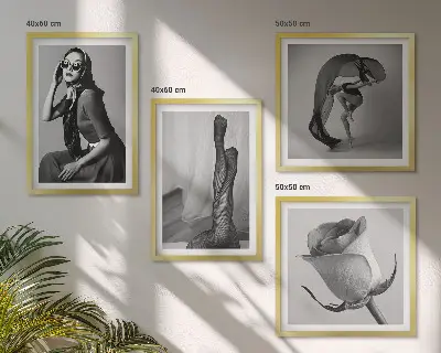 Porträtt av eleganta kvinnor set med 4 tavlor