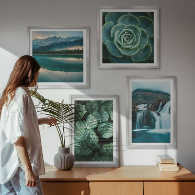 Tavelvägg ovanför soffa Närbilder av suckulenta växters blad