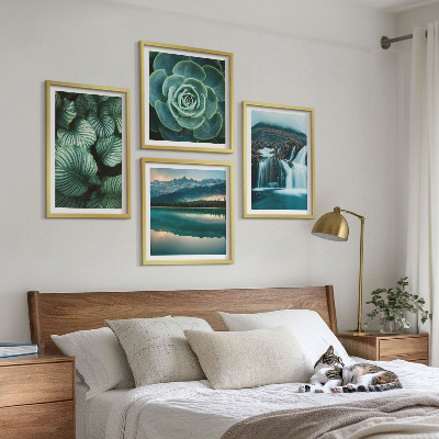 Tavelvägg ovanför soffa Närbilder av suckulenta växters blad