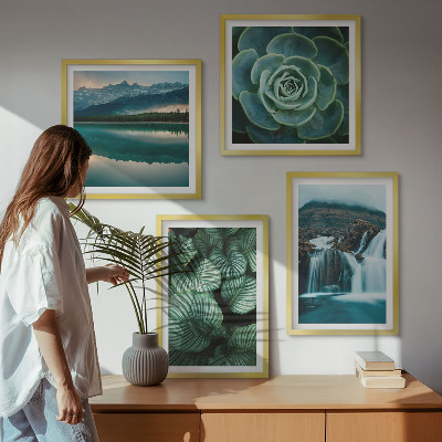 Tavelvägg ovanför soffa Närbilder av suckulenta växters blad