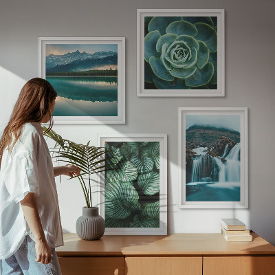 Tavelvägg ovanför soffa Närbilder av suckulenta växters blad