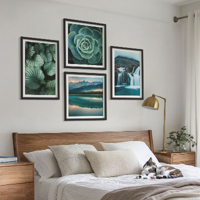 Tavelvägg ovanför soffa Närbilder av suckulenta växters blad