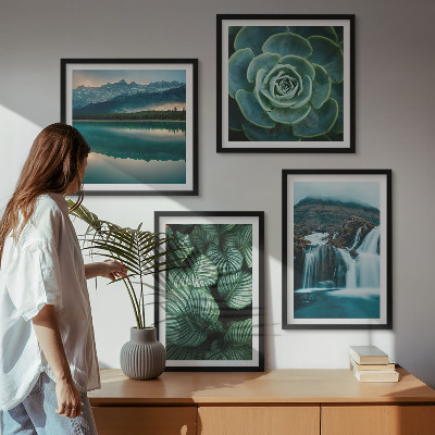 Tavelvägg ovanför soffa Närbilder av suckulenta växters blad