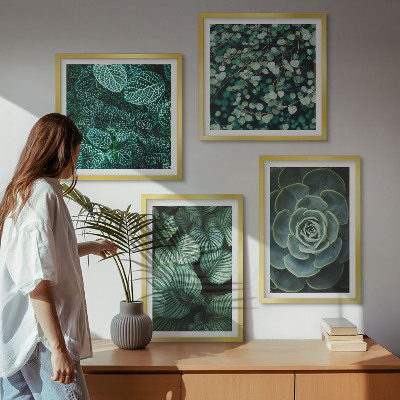 Tavelvägg ovanför soffa Gröna blad av eleganta suckulenter