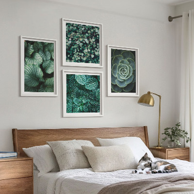 Tavelvägg ovanför soffa Gröna blad av eleganta suckulenter