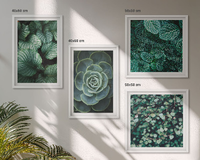 Tavelvägg ovanför soffa Gröna blad av eleganta suckulenter