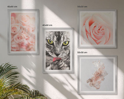 Tavelvägg med 4 tavlor Grå kattrosor abstrakt