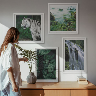 Tavelvägg med 4 tavlor Vit tiger vattenfall löv