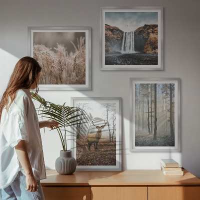 Tavelvägg ovanför soffa Skogslandskap av vild natur