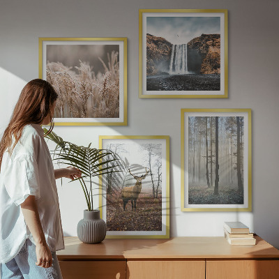 Tavelvägg ovanför soffa Skogslandskap av vild natur
