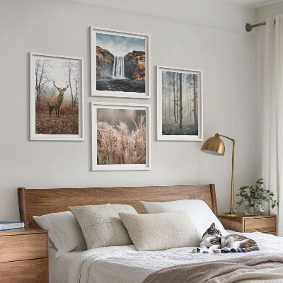 Tavelvägg ovanför soffa Skogslandskap av vild natur