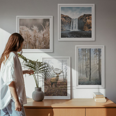 Tavelvägg ovanför soffa Skogslandskap av vild natur
