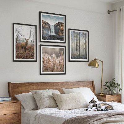 Tavelvägg ovanför soffa Skogslandskap av vild natur