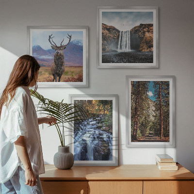 Set om 4 tavlor vattenfall skog berg rådjur natur