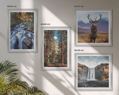 Set om 4 tavlor vattenfall skog berg rådjur natur