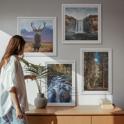 Set om 4 tavlor vattenfall skog berg rådjur natur