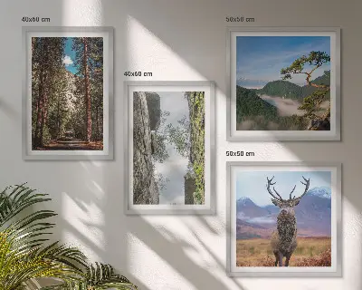 Tavelvägg med 4 tavlor skog, berg och rådjur i naturmotiv