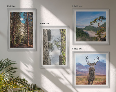 Tavelvägg med 4 tavlor väg skog berg rådjur natur