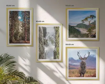 Tavelvägg med 4 tavlor skog, berg och rådjur i naturmotiv