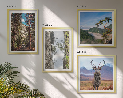 Tavelvägg med 4 tavlor väg skog berg rådjur natur