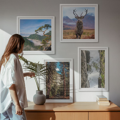 Tavelvägg med 4 tavlor väg skog berg rådjur natur