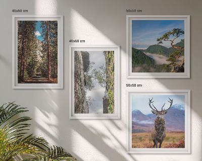 Tavelvägg med 4 tavlor väg skog berg rådjur natur