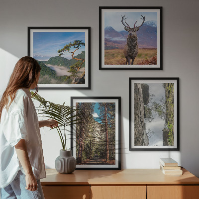 Tavelvägg med 4 tavlor väg skog berg rådjur natur