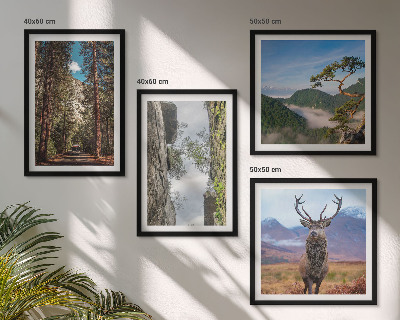 Tavelvägg med 4 tavlor väg skog berg rådjur natur