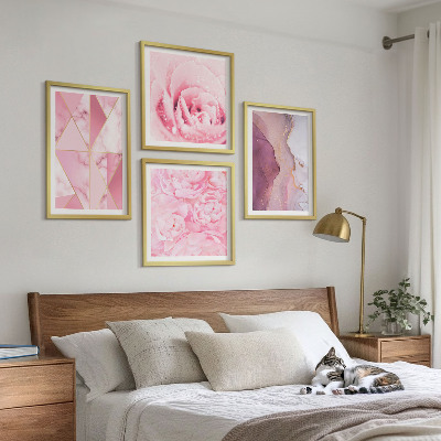 Set om 4 tavlor Rosa geometriska pioner