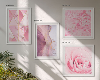 Set om 4 tavlor Rosa geometriska pioner