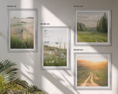 Set om 4 tavlor Landskap natur fält sol