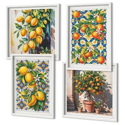 Färgglada abstrakta citrusfrukter set om 4 tavlor